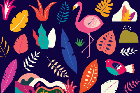 Home | Stratford Literary Festival